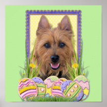Easter Egg Cookies - Australian Terrier Posters