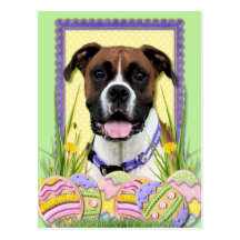 Easter Egg Cookies - Boxer Postcard