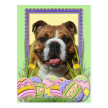 Easter Egg Cookies - Bulldog Post Cards
