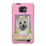 Easter Egg Cookies - Cairn Terrier Galaxy S2 Covers
