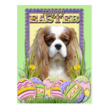 Easter Egg Cookies - Cavalier - Blenheim Post Cards