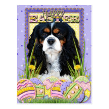 Easter Egg Cookies - Cavalier - Tri-colour Post Card