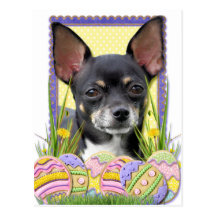Easter Egg Cookies - Chihuahua Post Card