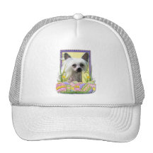 Easter Egg Cookies - Chinese Crested Mesh Hats
