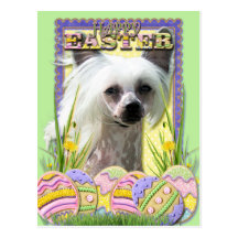 Easter Egg Cookies - Chinese Crested Post Cards