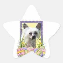 Easter Egg Cookies - Chinese Crested Star Stickers