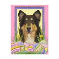 Easter Egg Cookies - Collie Postcard