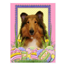 Easter Egg Cookies - Collie Postcards