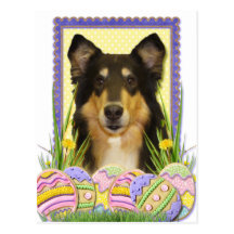 Easter Egg Cookies - Collie Postcards
