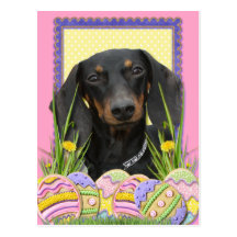 Easter Egg Cookies - Dachshund Post Cards