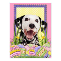 Easter Egg Cookies - Dalmatian Postcard