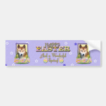 Easter Egg Cookies - Dingo Bumper Sticker
