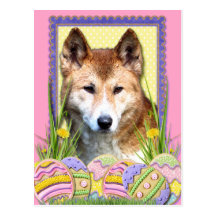 Easter Egg Cookies - Dingo Postcards