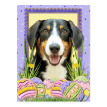 Easter Egg Cookies - Entlebucher - Eiger Post Card