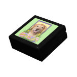 Easter Egg Cookies - Golden Retriever - Corona Trinket Box