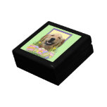 Easter Egg Cookies - Golden Retriever Gift Boxes