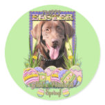 Easter Egg Cookies - Labrador - Chocolate Sticker