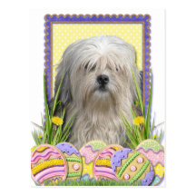 Easter Egg Cookies - Lowchen Post Cards