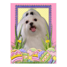 Easter Egg Cookies - Maltese Post Card