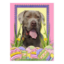 Easter Egg Cookies - Mastiff Post Card