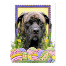 Easter Egg Cookies - Mastiff Postcard