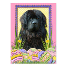 Easter Egg Cookies - Newfoundland Post Card
