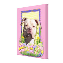 Easter Egg Cookies - Pitbull - Jersey Girl Canvas Prints