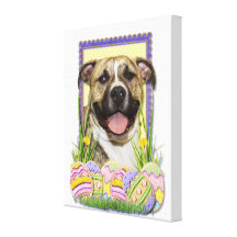 Easter Egg Cookies - Pitbull - Tigger Gallery Wrapped Canvas