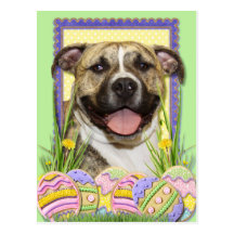 Easter Egg Cookies - Pitbull - Tigger Post Cards