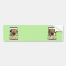 Easter Egg Cookies - Rhodesian Ridgeback Bumper Stickers