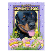 Easter Egg Cookies - Rottweiler - Harley Postcard