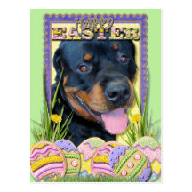 Easter Egg Cookies - Rottweiler - Harley Postcard