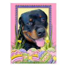Easter Egg Cookies - Rottweiler - Harley Postcard