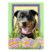 Easter Egg Cookies - Rottweiler Post Cards