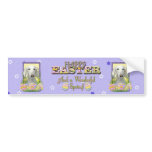Easter Egg Cookies - Saluki Bumper Stickers