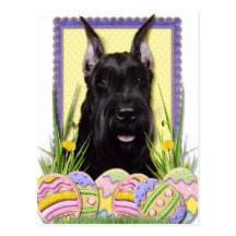 Easter Egg Cookies - Schnauzer Post Card