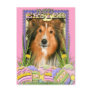 Easter Egg Cookies - Sheltie Post Card