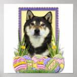 Easter egg Cookies - Shiba Inu Posters
