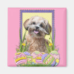 Easter Egg Cookies - ShihPoo Magnet
