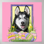 Easter Egg Cookies - Siberian Husky Posters
