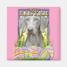 Easter Egg Cookies - Weimaraner Fridge Magnet