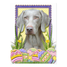 Easter Egg Cookies - Weimaraner Postcards