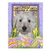 Easter Egg Cookies - West Highland Terrier - Tank Postcards