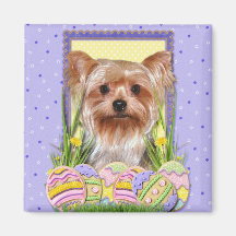 Easter Egg Cookies - Yorkshire Terrier Refrigerator Magnets