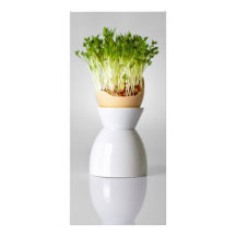 Easter Egg Shell With Greens On Gray Background Customized Rack Card