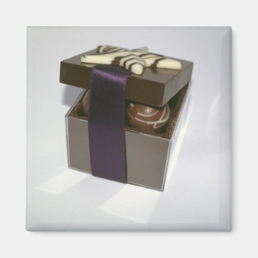 Easter eggs in a chocolate box refrigerator magnets