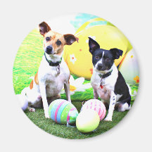 Easter - Fox Terriers - Sadie and Baboo Refrigerator Magnet