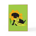 Easter Greetings Cards