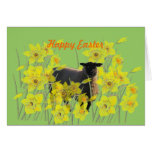 Easter greetings card, lamb and daffodils