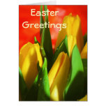 Easter Greetings Greeting Cards